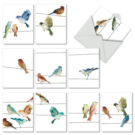 M3318 HIGH WIRE BIRDS' 10 Assorted All Occasions Note Cards Feature Watercolor Bird Illustrations with Envelopes by The Best Card