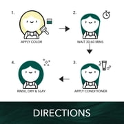 Paradyes Semi-permanent Emerald Green DIY Conditioner Based Hair Colour