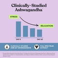 thumbnail image 6 of Lemme Relax Soft Chews with Magnesium Glycinate & Citrate, KSM-66 Ashwagandha + L-Theanine to Support Stress Relief, Cortisol Levels, Mood & Healthy Sleep Cycles, BlackBerry Lemonade (30 Chews), 6 of 9