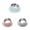 A,B,C, variant on Anti Vomiting 15° Tilted Elevated Dog Cat Bowl, Raised Stainless Steel Shallow Kitty Bowl with Non Spill Edge, Slow Feeder for Cat Food Water Bowls Indoor Outdoor Use, 8.66"