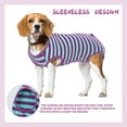 thumbnail image 5 of Kuoser Surgical Recovery Suit for Dogs Cats，Professional Dog Onesie, 5 of 7
