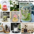 thumbnail image 6 of PH Cloche Glass Dome Decorative Display Case Clear Glass Display Dome with Top Handle Cloche Bell Jar Dome Cover for Plants Flower Cake Clay Succulents Christmas Display 8.3x4.7 inch Clear, 6 of 6