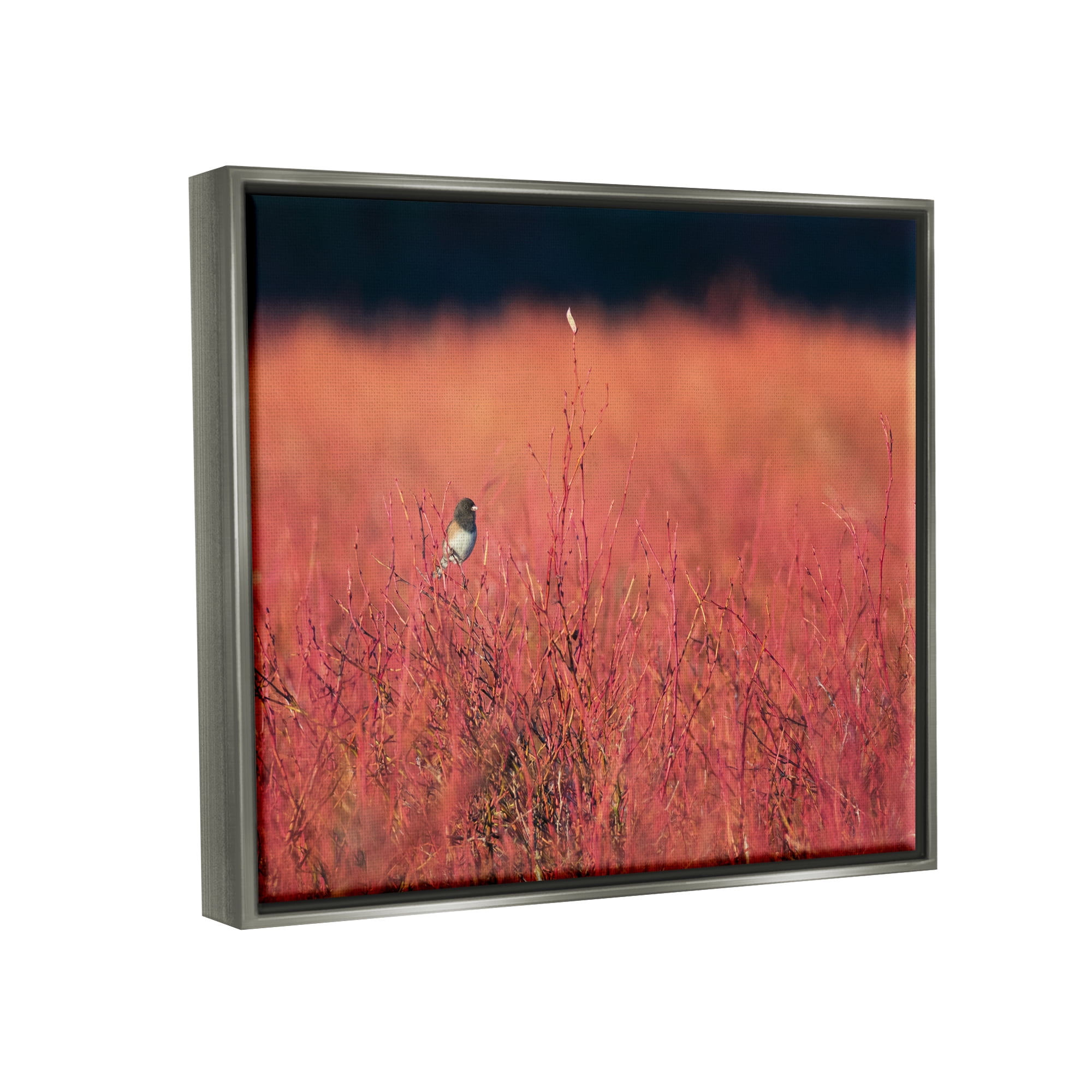 Stupell Industries Bird in Red Field Nature Photography Gray Floater Framed Art Print Wall Art, 31 x 25