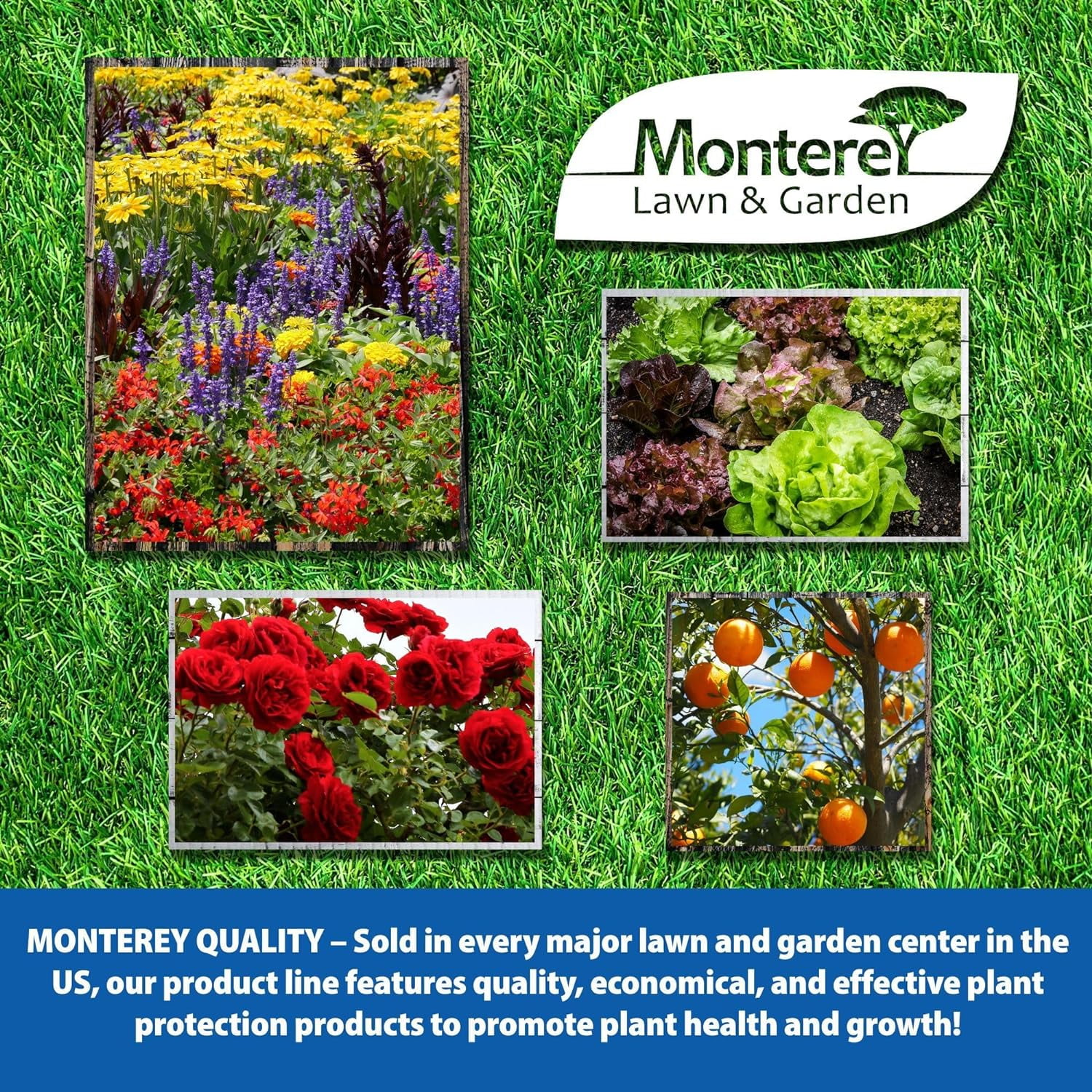 Monterey Broadleaf Herbicide Fertilizer, 8 oz with Control Spurge