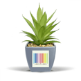 thumbnail image 1 of Rainbow Colorful Equal Consultation Fake Pineapple Flower Pot Vase Mini Decor, 1 of 3