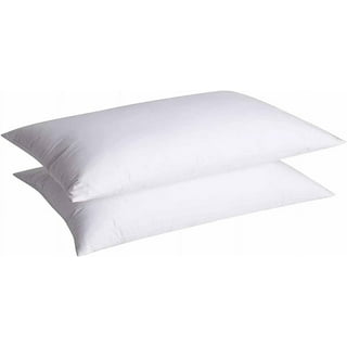 Thin Flat Pillow