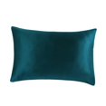 thumbnail image 1 of 2x19 Funda de Almohada de Seda Pura para Ambos dos para El Cabello Belleza Facial Teal Sunnimix Funda de seda, 1 of 8