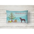 thumbnail image 2 of n Water Spaniel Merry Christmas Tree Canvas Fabric Decorative Pillow, 2 of 3
