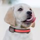 thumbnail image 1 of Juego de collar y correa para perros USB y de carga solar - Collar de seguridad LED de doble uso para mascotas con tamaño de cuello ajustable, 1 of 2