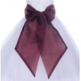thumbnail image 1 of Burgundy Organza Sash Wide Sash for Special Occasion Wedding Decoration Supplies DIY Sash Plain Sash L, 1 of 1
