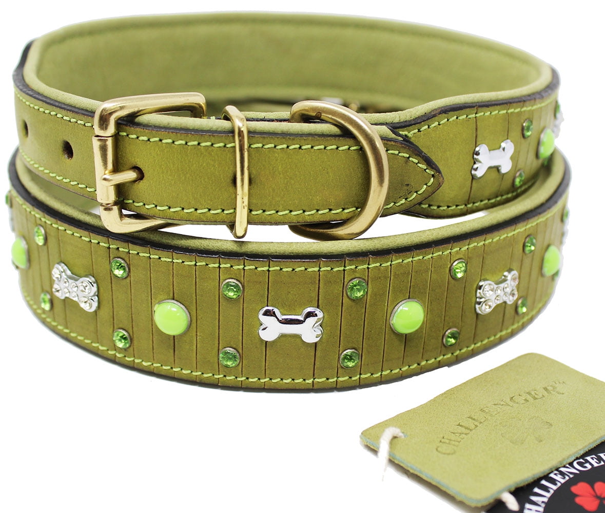 Leather Crystal Dog Bone Charm Collar Padded Double Ply Riveted