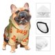 thumbnail image 3 of Balery Gnomes Happy Thanksgiving Sudadera con Capucha para Perros Pequeños – Ropa para Mascotas, Disfraz para Perros y Gatos, Ideal para Fiestas y Cosplay-Large, 3 of 7
