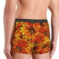 thumbnail image 5 of Kll Sunflower Men'S Cotton Boxer Briefs Underwear-Large, 5 of 9