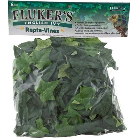 Flukers Repta Vines English Ivy - 1 Vine - (6' Long)