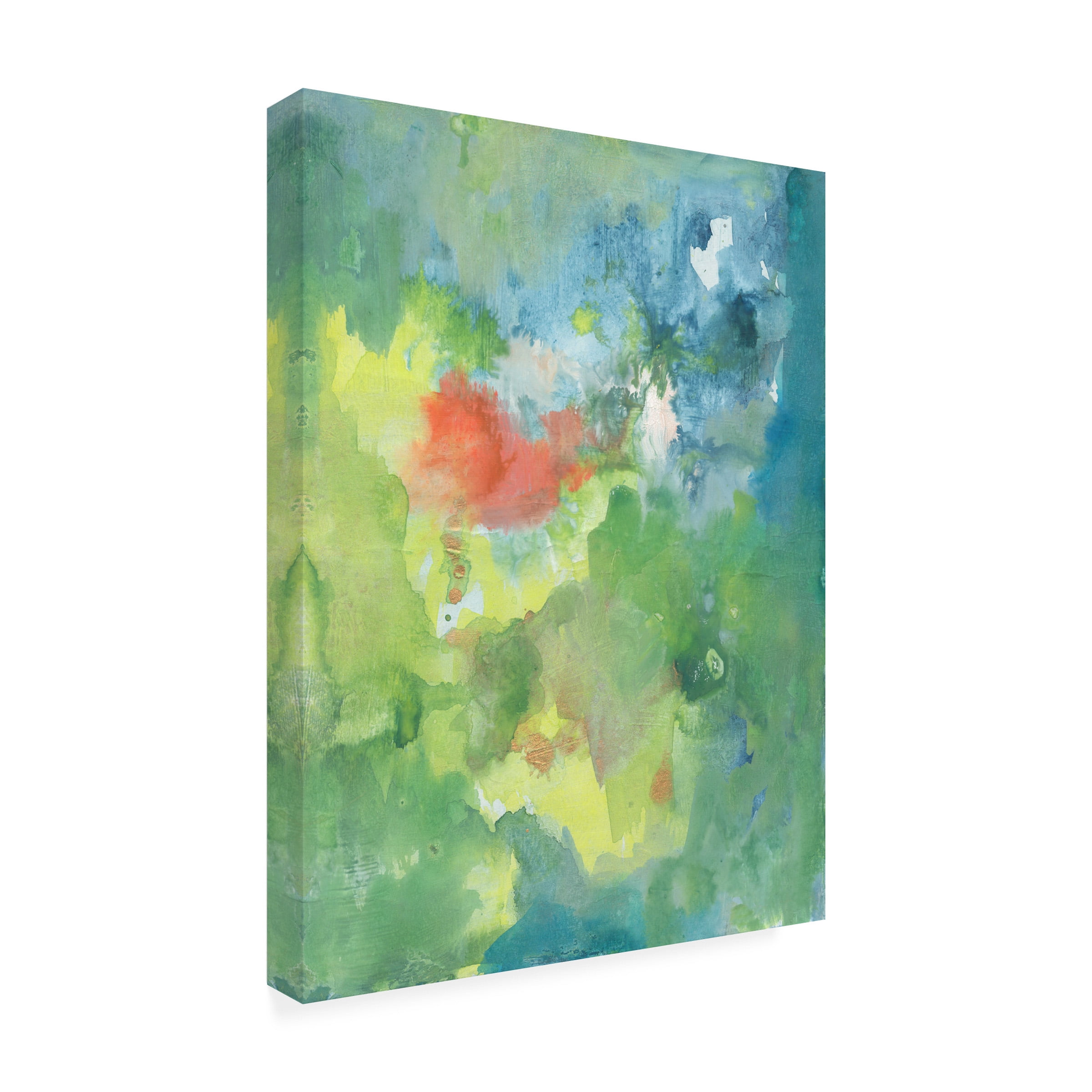 Joyce Combs 'The Flowering I' Canvas Art