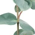 thumbnail image 2 of Vickerman 27" Artificial Green Eucalyptus Spray. Includes 3 sprays per pack., 2 of 8
