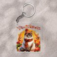 thumbnail image 2 of Happy Thanksgiving Ragdoll Give Thanks Fall Beanie Scarf Welcome Acrylic Keychain Cat Lover Kitten Owner Gifts Idea Collar Charm Tag Keyring - 00020, 2 of 5
