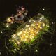 thumbnail image 5 of Cadena de luces LED solares de cobre con 8 modos de decoración, 50 m, para fiestas, exteriores, 5 of 8