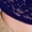 Dark Blue, variant on Lace Tops for Women Trendy Casual Long Sleeve Deep V Neck Elegant Sheer Floral Lace Cropped Shirt Y2k Going out Tops