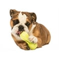 thumbnail image 2 of West Paw Zogoflex Qwizl Small 5.5" Dog Toy Granny Smith, 2 of 9