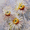 White Daisy Impasto, variant on Floral Coastal Villa Canvas Print Wall Art for Italian Riviera Living Room Bedroom Hotel Decor