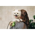 thumbnail image 2 of Earth Rated Dog Poop Bags Dispenser, Dog Poop Bag Holder Includes 1 Roll of 15 Lavender-scented Poop Bags, 2 of 7