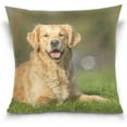 thumbnail image 3 of Dog Outdoors Velvet Oblong Lumbar Plush Throw Pillow Cover/Shams Cushion Case - 16" x 16" - Decorative Invisible Zipper Design for Couch Sofa Pillowcase Only, 3 of 5