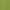 Kiwi, variant on Gildan Men's Heavy Blend Preshrunk Hooded Sweatshirt
