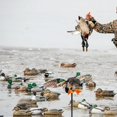 thumbnail image 4 of Spinning Wing Motion Duck Decoy, Floating Duck Decoy, Spinning Duck Decoys for Hunting, Remote Controlled Duck Decoys, 4 of 6