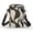 Abstract Pattern Design, variant on CHAQLIN Dragonfly Sunflower Crossbody Case, Zipper Strap Lightweight Phone Purse for Women to Travel Running Daily Use