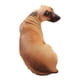 thumbnail image 2 of Cojín de Simulación Ganfancp Perro Divertido 50 Cm Decoración Del Hogar, 2 of 4