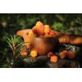 thumbnail image 3 of shiyou-Cloudberry Plant Seeds, Pack of 15, 3 of 4