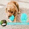 thumbnail image 4 of Squeaky Dog Toys for Aggressive Chewers, 100% Natural Rubber, 4 of 6