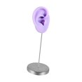 thumbnail image 4 of Modelo de oreja de silicona, parte del cuerpo, maniquí reutilizable, organizador de accesorios para exhibición Púrpura a la derecha, 4 of 9