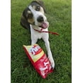 thumbnail image 2 of Ethical Products 77496 14 in. Fun Food Furitos Chips Plush Dog Toy, 2 of 3