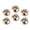 M037, variant on Glass Refrigerator Magnet 6Pcs Magnetic Fridge Sticker,Decor for Kitchen,Whiteboard,Cabinet,Elegant Chestnut Horse Galloping Along The Sandy Beach