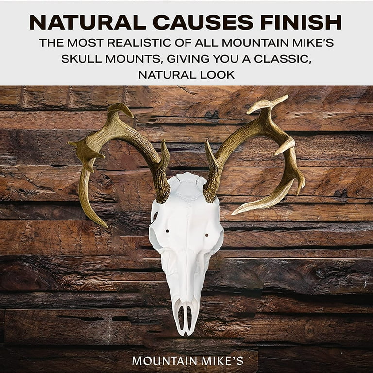 Mountain Mike's Skull Master - European-Style Mount Kit for