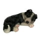 thumbnail image 1 of Figuras De Cachorro Figuras Realistas Figuras De Perro Emulacionales Pintadas A Mano Juguete, 1 of 8