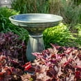 thumbnail image 4 of Sunnydaze Avignon Freestanding Ceramic Outdoor Bird Bath, UV-Resistant Green Mist Finish, 4 of 11