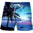 thumbnail image 2 of Pantalones cortos de playa para hombre, Shorts deportivos informales hawaianos con estampado 3D de plantas naturales, rápido y transpirable, novedad de verano 2022 Fivean unisex, 2 of 2