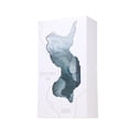 thumbnail image 3 of Perfume French Avenue Ravine Ice Cítrico Aromático 100 ml, 3 of 5