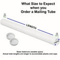 Tubeequeen White Mailing Tubes with End Caps Art Shipping Tubes 2