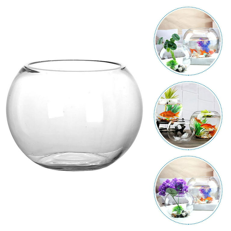 Glass Bubble Fish Bowl Terrarium Vase