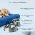 thumbnail image 4 of PAWPOURRI Printed Blue Print Anti-Skid Stainless Steel Water and Food Feeding Bowl for Adult Dogs, Puppies, Cats |Stainless Steel | Anti-Skid | Easy to Clean Pet Feeder, 950ml, 4 of 9