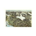 thumbnail image 4 of Historic Panoramic View - Seattle Washington - Hughes 1891 - Vintage Wall Art, 4 of 4