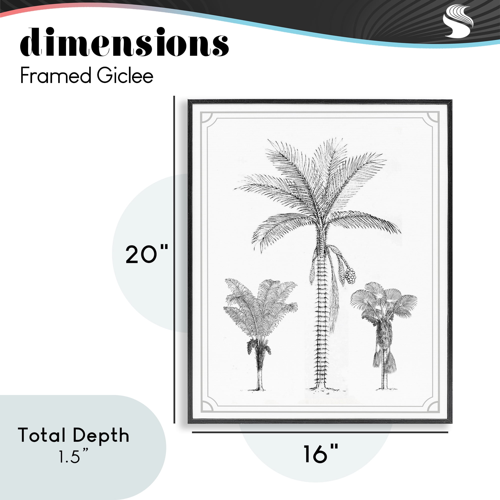 Palm Tree Trio Sketches Black Framed Giclee Art, design by Lettered and Lined