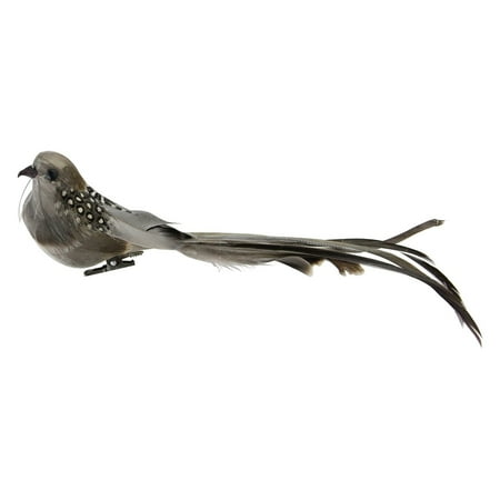 Feathered Bird Ornament - 9.5