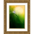thumbnail image 1 of Daalder, Bob 23x32 Gold Ornate Wood Framed with Double Matting Museum Art Print Titled - Wisdom, 1 of 4