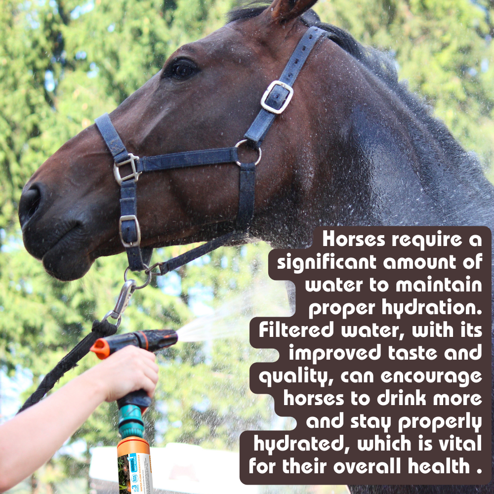 CLEAR2O® GARDEN & PET WATER HOSE FILTER - Reduces Chlorine, Lead, Heavy Metals CGF3001