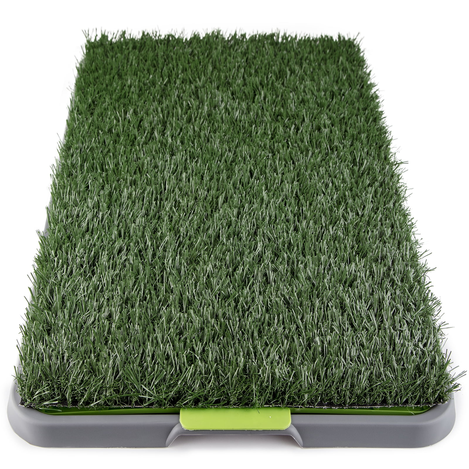 cat grass litter box